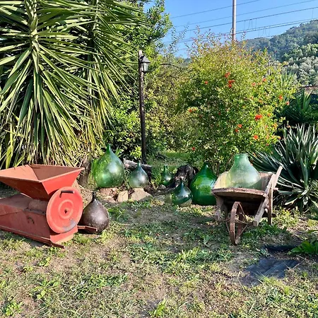 Vakantiehuis Il Noce - Vacanza-