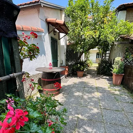 Vakantiehuis Il Noce - Vacanza-