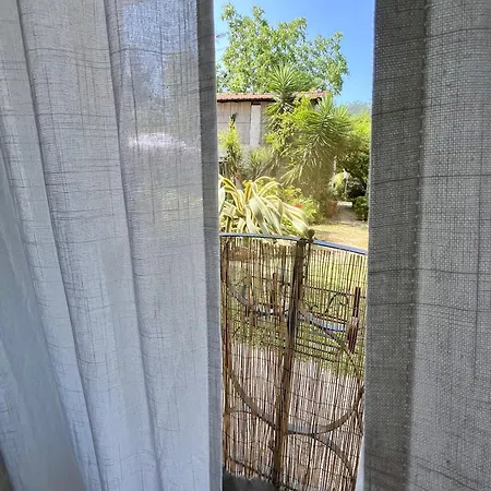 Vakantiehuis Il Noce - Vacanza- *