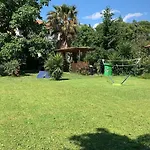 Il Noce - Vacanza- *