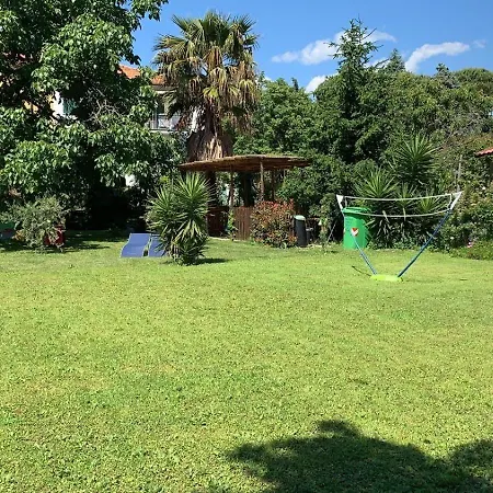 Il Noce - Vacanza- *