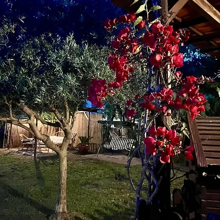 Il Noce - Vacanza- Ferienhaus Sestri Levante