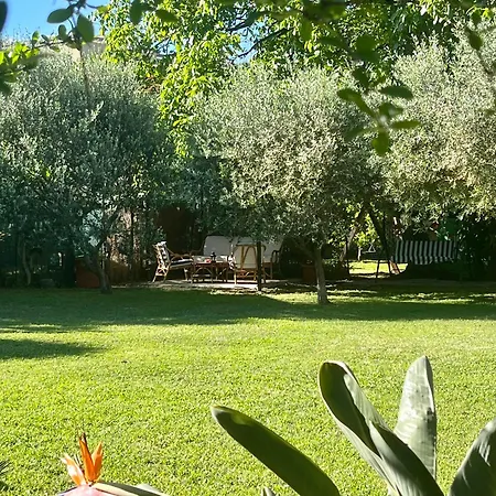 Ferienhaus Il Noce - Vacanza- *